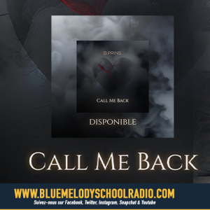 D.PRINS DÉBARQUE DANS NOS PLAYLISTS ! DU LOURD